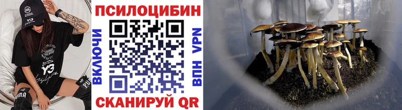 shop Telegram  Дрезна  Псилоцибиновые грибы мухоморы  кракен зеркало 